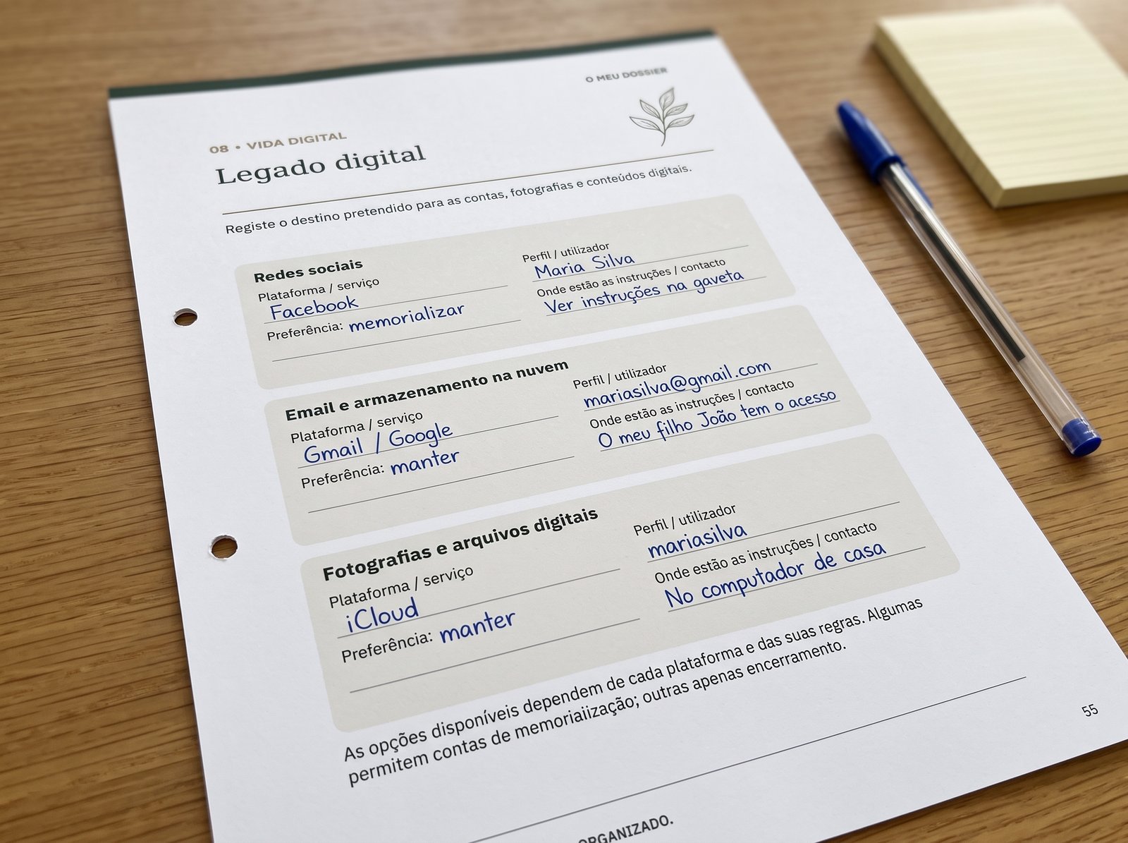 Exemplo ilustrativo de uma página de legado digital do dossier DEVIDA